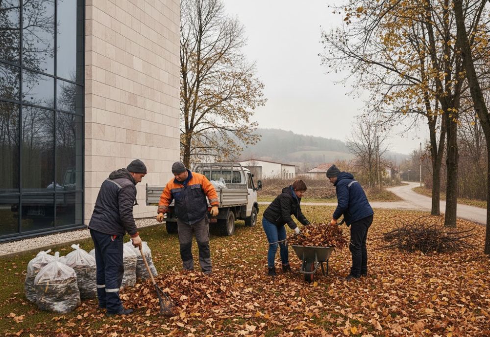 Uređivanje I Čišćenje Oko Firme